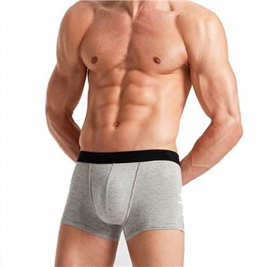 Men's Cotton Underwear Classic Fit Boxers Trunk