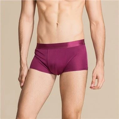 Pure Silk Underwear Breathable Mulberry Silk Men's Briefs Boxers